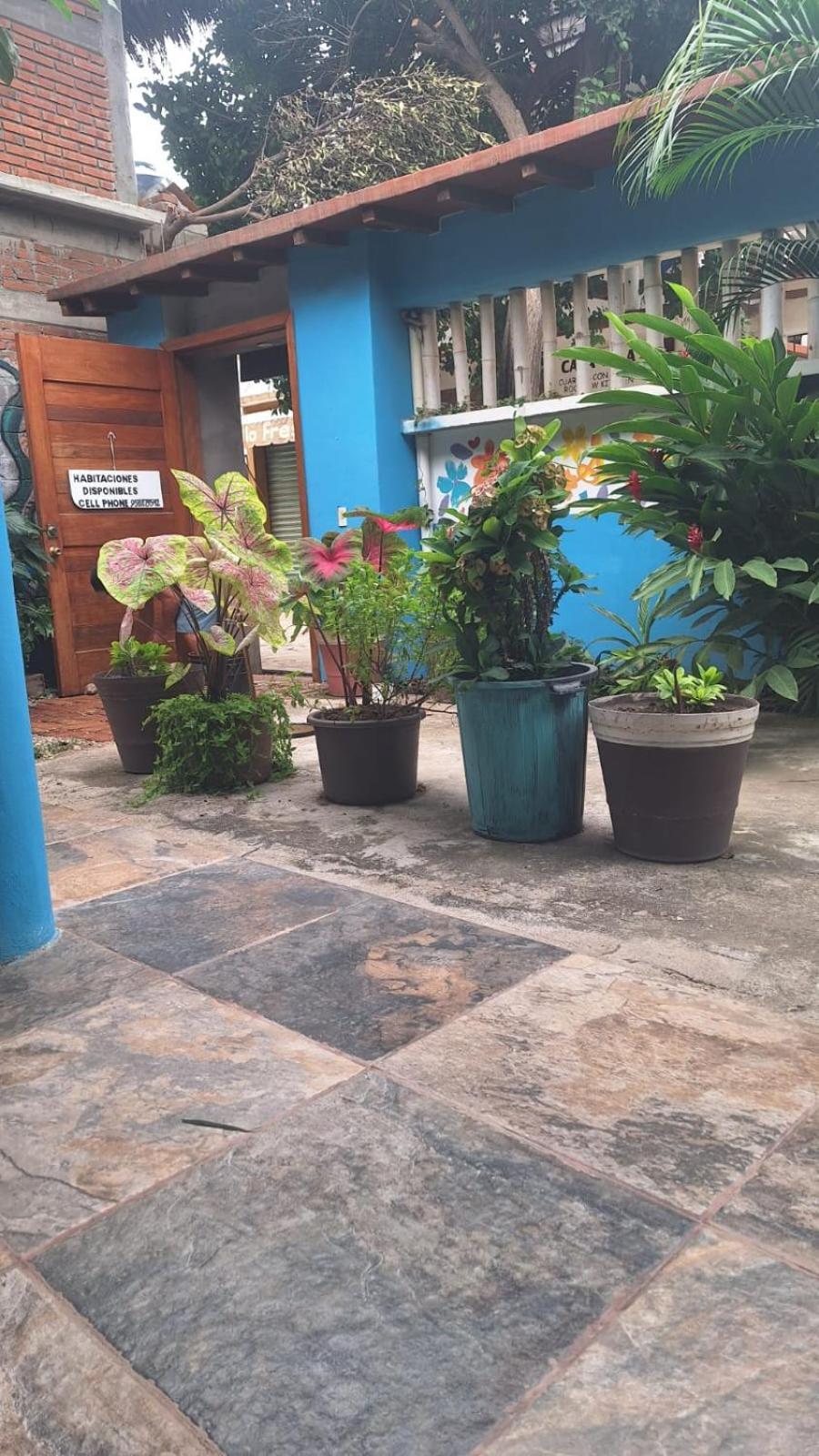 La Casa Del Sueno Hotel Mazunte Eksteriør billede